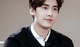 娱乐圈吃瓜李易峰是谁啊,揭秘李易峰的星光之路